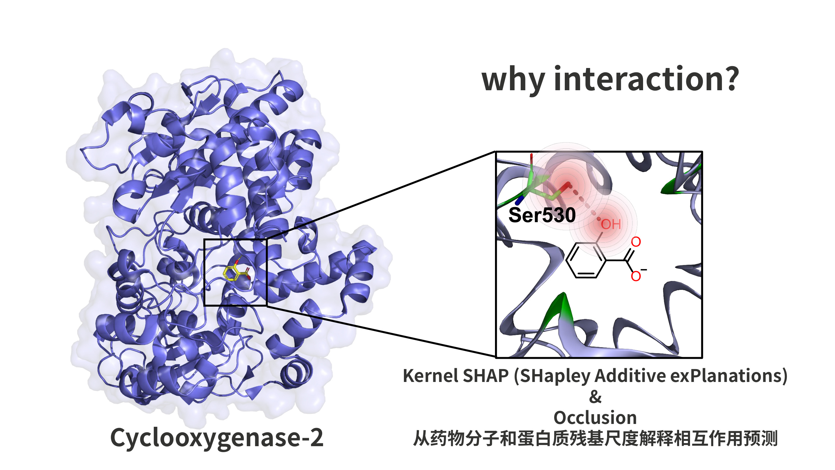 National Grand Prize, 19th 'Challenge Cup' National Undergraduate Science and Technology Competition (First Author) - image 1